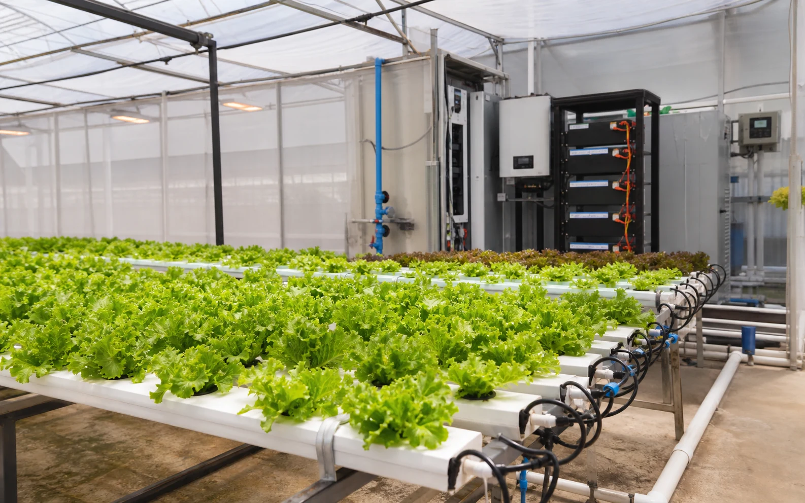 Hydroponic Organic Vegetable Solar + Storage System — Mauritius equipment detail